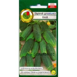 Огурец Дар 3г.